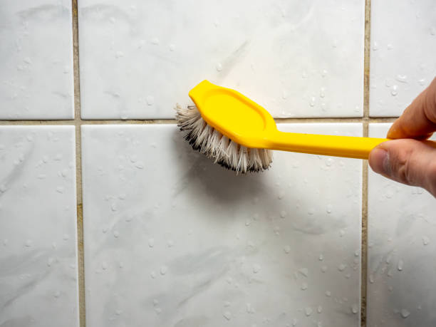 Best Mold Removal Near Me  in Crescent City, FL