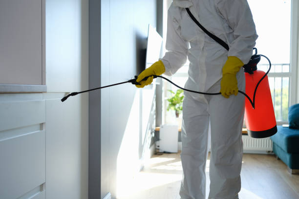 Best Affordable Mold Removal  in Crescent City, FL