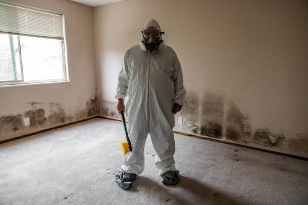 Best Mold Remediation Experts  in Crescent City, FL